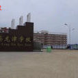 龍津國小(安義縣龍津國小)