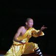 老洪拳 老洪拳