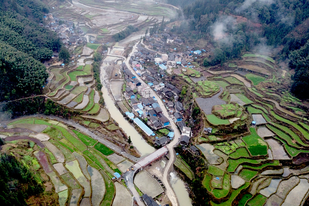 定向村 定向村