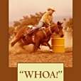 Whoa!: Training the Well-Schooled Horse and Rider