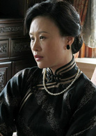 遠去的飛鷹(2011年花箐執導電視劇)