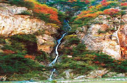 陽壩亞熱帶生態旅遊風景區