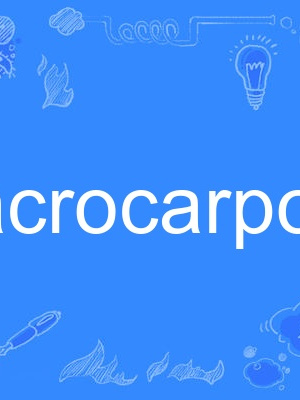 acrocarpous acrocarpous