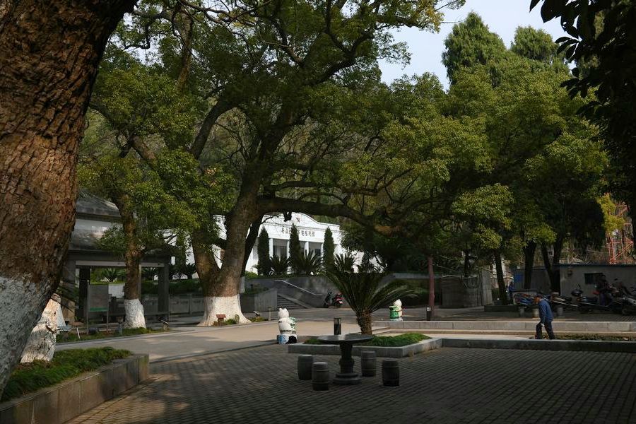 定海公園 定海公園