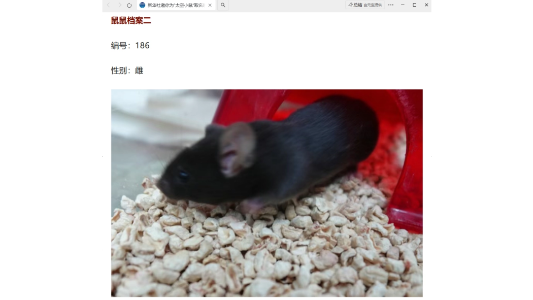 太空鼠186 太空鼠186