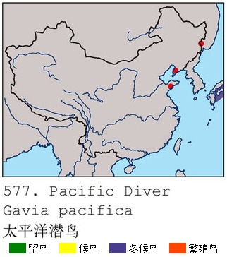 太平洋潛鳥中國分布圖