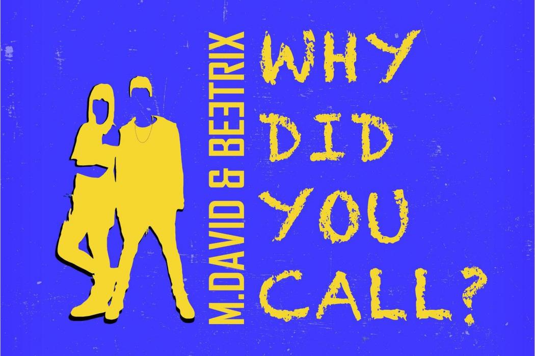 Why Did You Call Why Did You Call