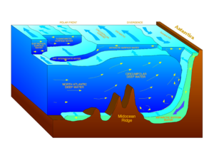 海洋表底層水流交換剖面圖