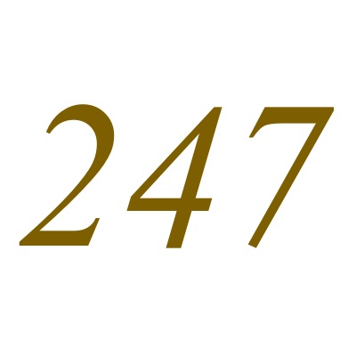 247(自然數之一)