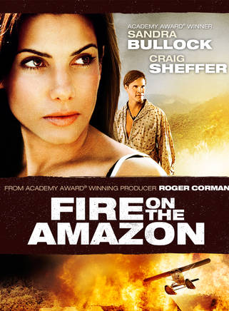 桑德拉·布洛克(sandra bullock) 桑德拉·布洛克(sandra bullock)