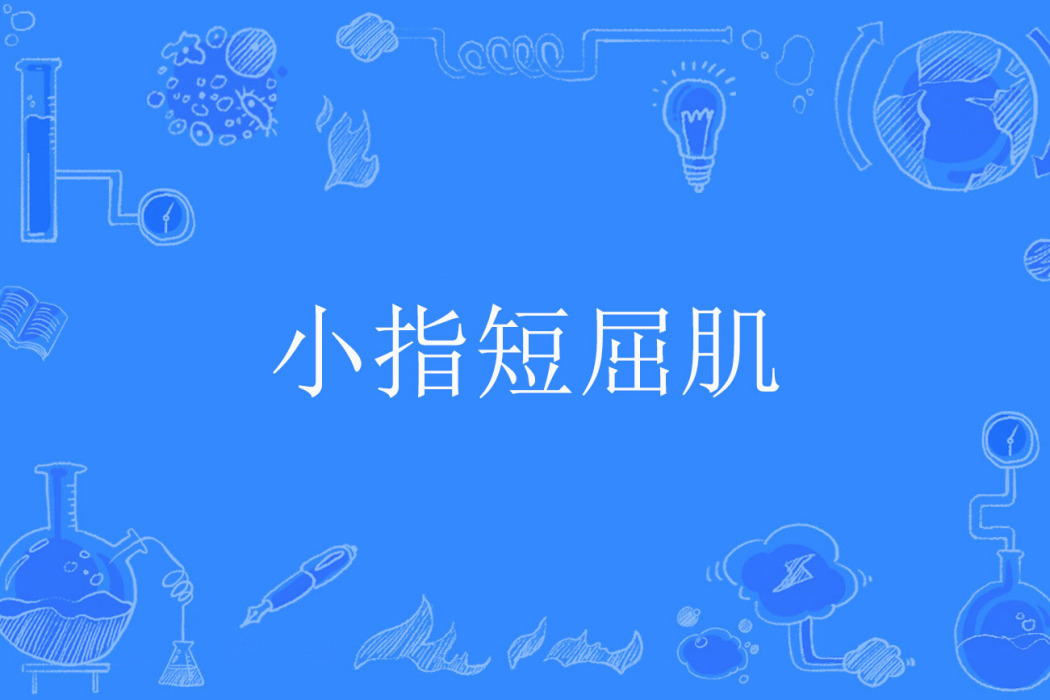 小指短屈肌 小指短屈肌