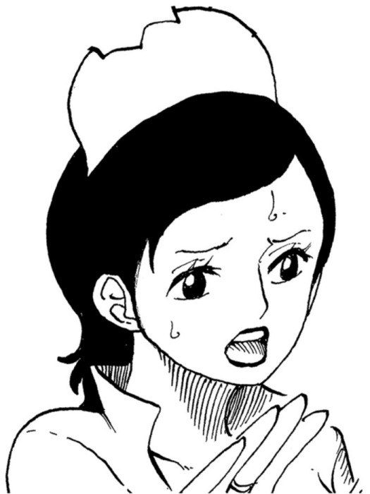 瑪麗(日本漫畫《航海王》及其衍生作品中的角色) 瑪麗(日本漫畫《航海王》及其衍生作品中的角色)
