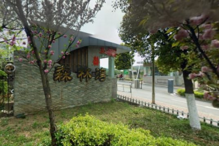 森林灣 森林灣