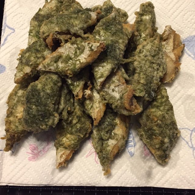 苔條帶魚 苔條帶魚