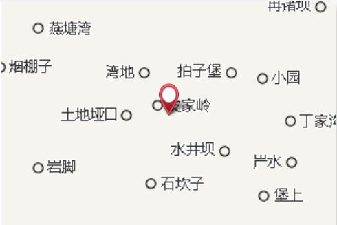 棕樹園子