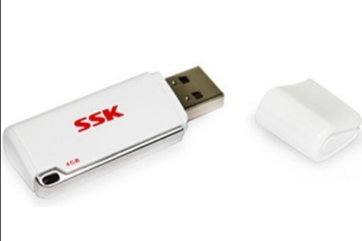 SSK 書卷 SFD122(2GB) SSK 書卷 SFD122(2GB)