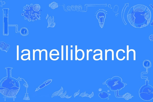 lamellibranch lamellibranch