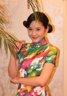 代號十三釵