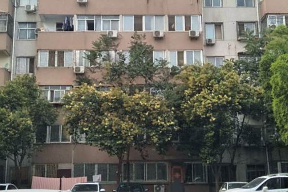 綠文小區 綠文小區