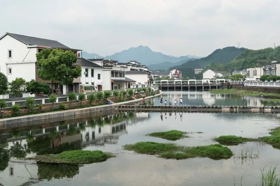 陳蔡社區 陳蔡社區
