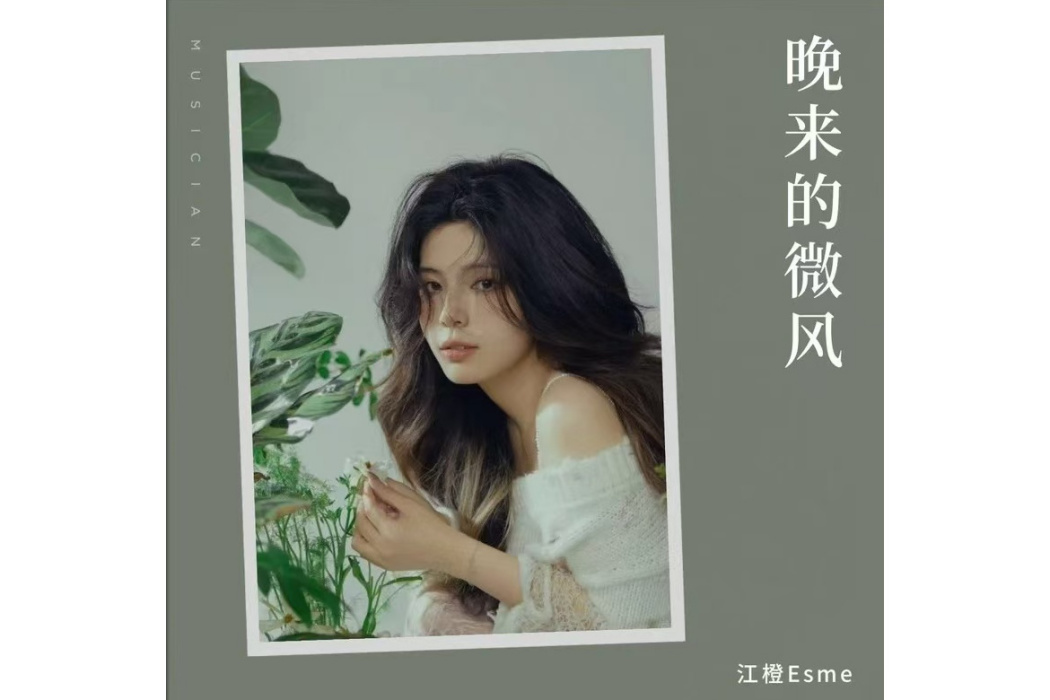 晚來的微風 晚來的微風