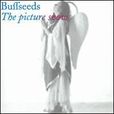 Buffseeds Buffseeds