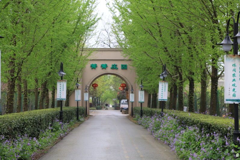 菁菁莊園 菁菁莊園