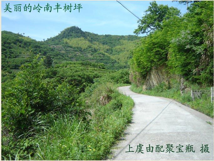 嶺南豐樹坪 嶺南豐樹坪