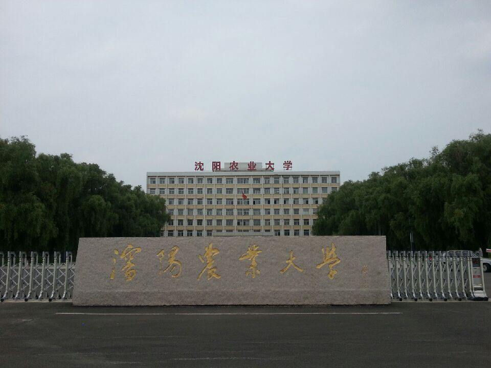 瀋陽農業大學食品學院