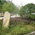 雀山嶺村 雀山嶺村
