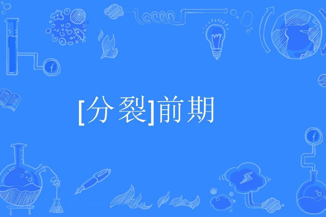 [分裂]前期