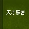 天才黑客