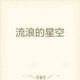 流浪的星空 流浪的星空