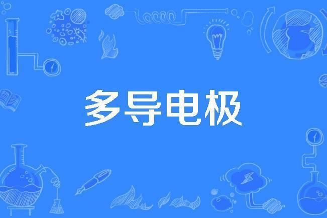 多導電極 多導電極