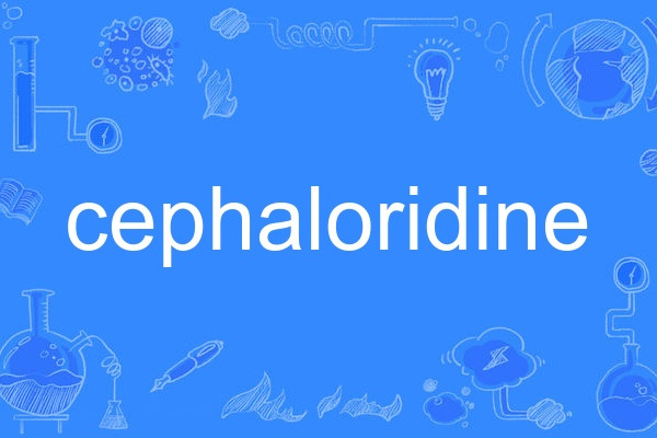 cephaloridine cephaloridine