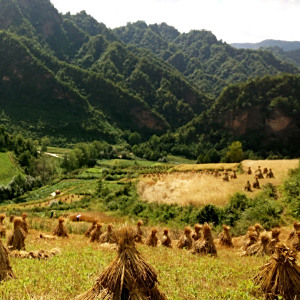 黃咀村
