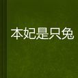 本妃是只兔 本妃是只兔