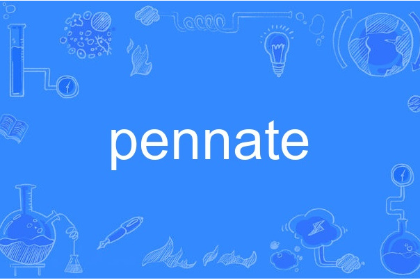 pennate pennate