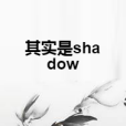 其實是shadow 其實是shadow