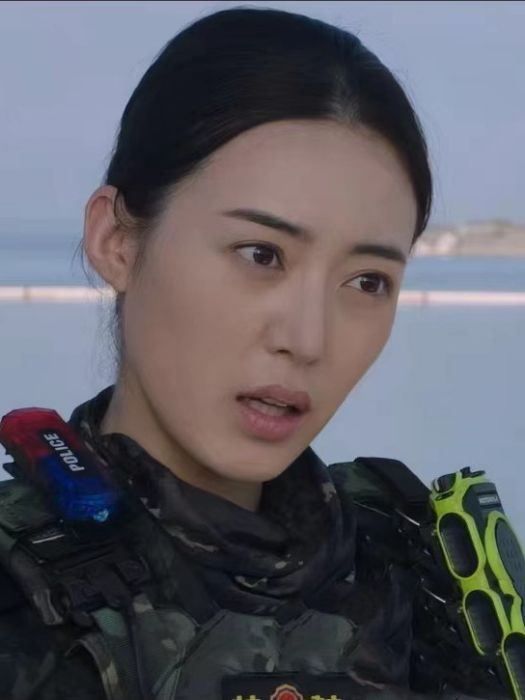 梅靜(刑偵犯罪電影《女特警之暗戰》中的角色)