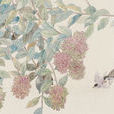 花信(漢語詞語) 花信(漢語詞語)