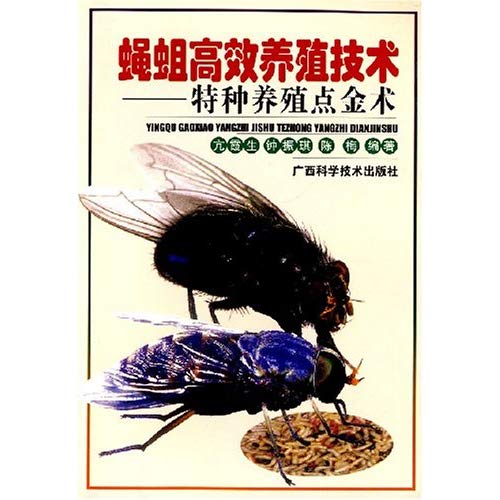 蠅蛆高效益養殖技術