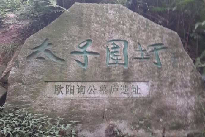 太子圍圩 太子圍圩
