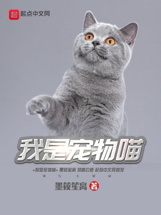 我是寵物喵 我是寵物喵