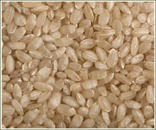 發芽糙米