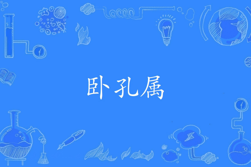 臥孔屬 臥孔屬