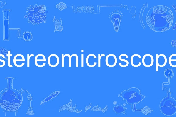 stereomicroscope stereomicroscope