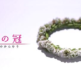 花之冠 花之冠