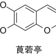 莨菪亭(東莨菪亭) 莨菪亭(東莨菪亭)