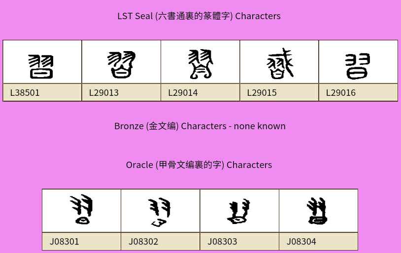 習：殷墟甲骨文、金文